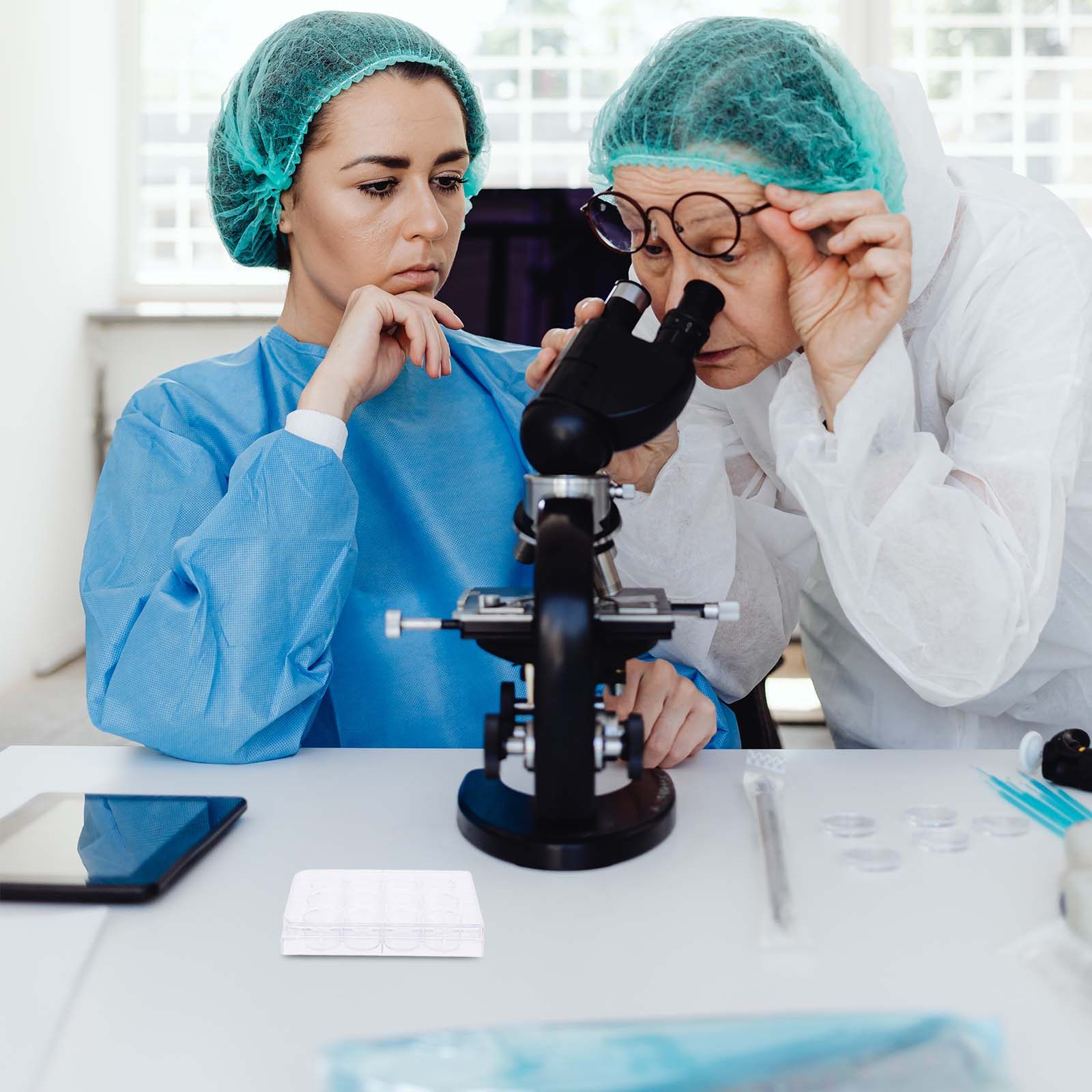 Lab Equipment - 12-Hole Cell Culture Plate Tissue Culture