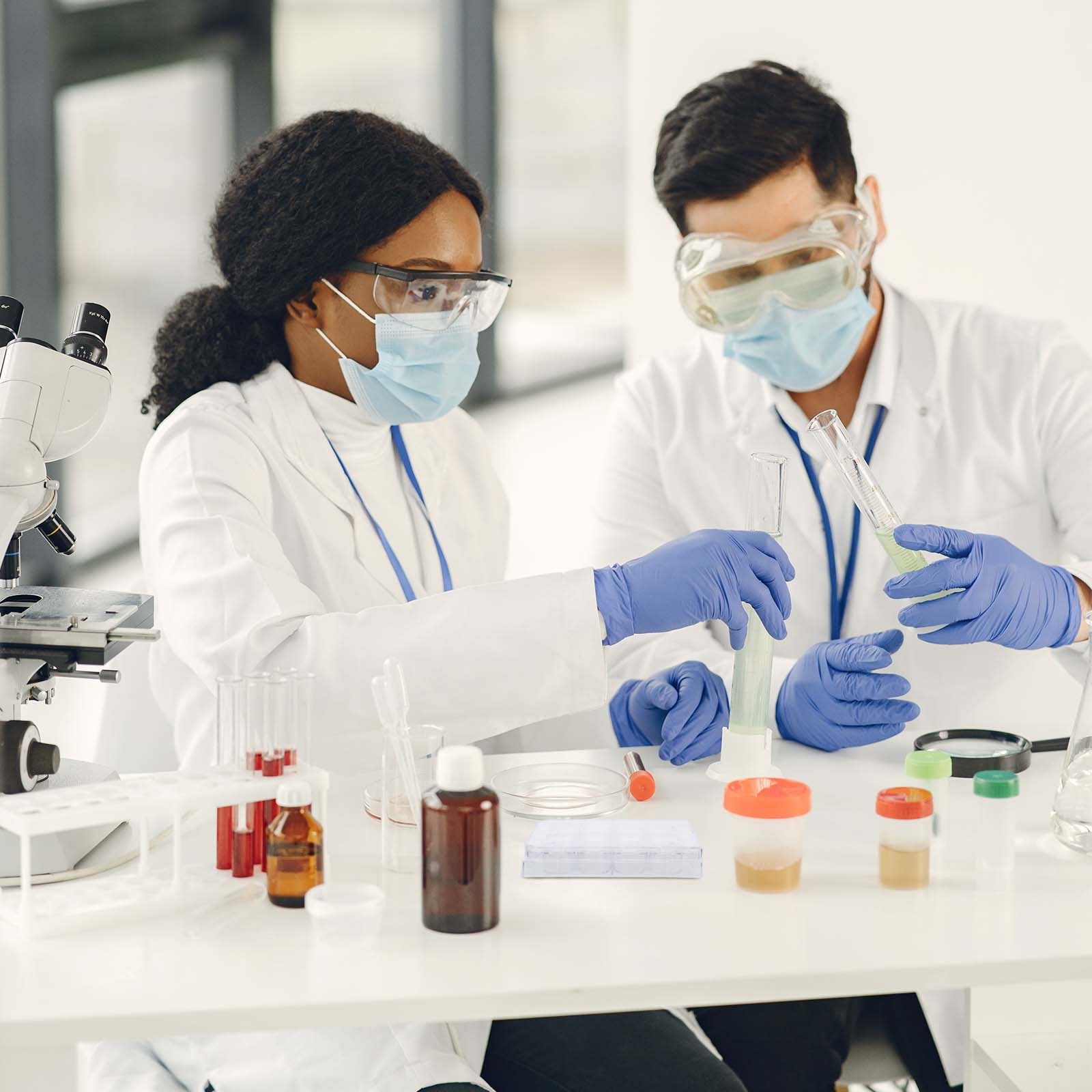 12-Hole Cell Culture Plate Tis - Lab Equipment recension och pris